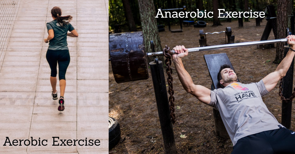 Difference Between Aerobic and Anaerobic Exercise